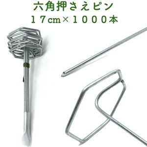 hV[gp ZpŒs 17cm 1000{Zbg  AJ[s }`  lH V[g s R^  G΍ sDzV[gȂǂ