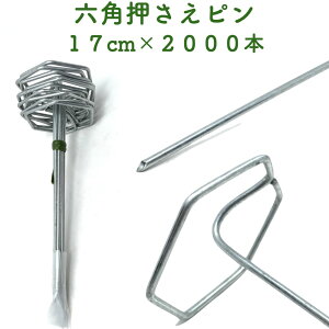 hV[gp ZpŒs 17cm 2000{Zbg  AJ[s }`  lH V[g s R^  G΍ sDzV[gȂǂ