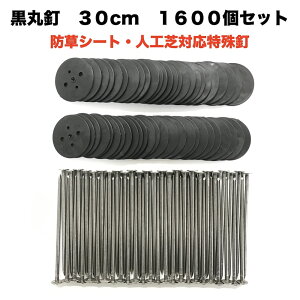 hV[g lH p ۓBZbg ۔1600+30cmB1600{Zbg B G΍ Y }Y s wAsY Us V[g  K[fpi