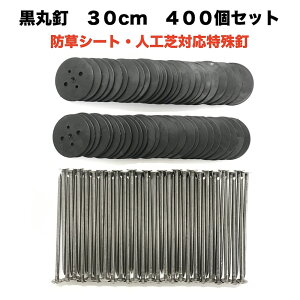 hV[g lH p ۓBZbg ۔400+30cmB400{Zbg B G΍ Y }Y s wAsY Us V[g  K[fpi