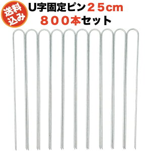 hV[gp Œs 25cm U^AJ[ 800{Zbg  AJ[s }`  lH V[g s R^  G΍