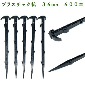 vY 36cm 600{Zbg vX`bNY lbg eg y [vŒ V[g ߋ Œ  _ ƒ؉  _ | rj[nEX glnEX lg 핢