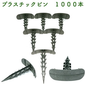 vs 14cm 1000{Zbg vX`bN }`V[g ߋ Œ  _ ƒ؉  _ | rj[nEX glnEX lg 핢