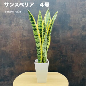 ϗtA TXxA 4c  CeA j JXj Vzj aj j zj ̓ ̓ v[gMtg