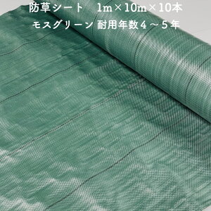 ylzz hV[g 1m×10m 10{Zbg ϋvN4N5N XO[ Rۍ UVܓ lHł̉ V[g Gh~V[g G΍ _Ǝ zd  }`O 