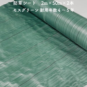 ylzz hV[g 2m×50m 2{Zbg ϋvN4N5N XO[ Rۍ UVܓ lHł̉ V[g Gh~V[g G΍ _Ǝ zd  }`O 앨