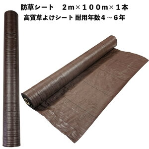 悯V[g uE 2m×100m 1{ hV[g ϋvN4N6N Rۍ UVܓ lHł̉ V[g Gh~V[g G΍ _Ǝ zd  }`O 앨  ʕ