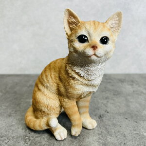 킢 L u 蒃gLij  CeA   lR gC 蕨  K[fI[ig  G v[g Mtg K[fjO