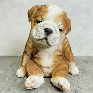 킢  u 肷uhbO     蕨 CeA  K[fI[ig  G v[g Mtg ֐ gC K[fjO