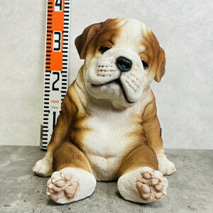 킢  u 肷uhbO     蕨 傫 CeA  K[fI[ig  G v[g Mtg ֐ gC K[fjO