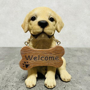 킢  u EFJ uh[go[    gC 蕨 A CeA K[fI[ig  G v[g Mtg ֐ K[fjO