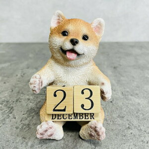 킢  u Č̑tJ_[ fXN    A CeA  K[fI[ig ֐  G v[g Mtg K[fjO