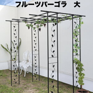 t[cp[S  180×s120×180cm ʕI I ӂI ԂǂI I |I K[fjO