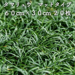 yr[Tz ^}Eiʗj}bg^Cv 60cm×30cm 20 G΍ OhJo[ N   ̃qQ EmqQ c A c  _ 