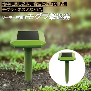 y}\|Cg5{z\[[[d Oފ SLI-MGD316 猂ފ \[[ g Qb΍ Qb΍u Qb΍ K[fjO _ TCGC^[iV