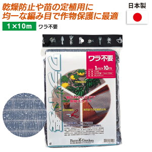 sv 1×10m K[fjO | _ _ H   L{V