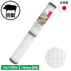 Aj}lbg ii`j 1×20m K[fjO | _ _ H   L{V