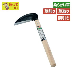 iō|tjl120mm K[fjO |pi   芙   _ p H ƒ؉ n n ؍H O