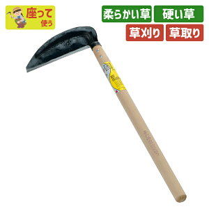 BCiō|tj180mm K[fjO |pi   芙   _ p H ƒ؉ n n ؍H O