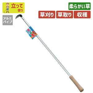 {EԂ݊55mm700mmA~pCv K[fjO |pi   芙   _ p H ƒ؉ n n  ؍H O