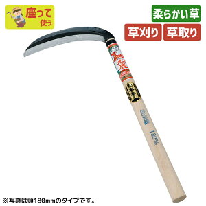 ˎi|tjی^195mm K[fjO |pi   芙   _ p H ƒ؉ n n ؍H O