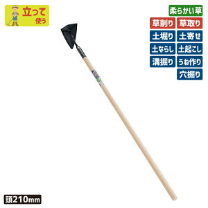 yBLACK FRIDAY|Cg5{zԌI}Pt i|tjf^z[ʎ210mm K[fjO z[  L  N yȂ炵 yx @ yN   |pi 