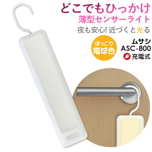 【44%引き】 人感センサーライト 防犯ライト LEDセンサーライト ムサシ RITEX どこでもひっかけ薄型センサーライト(ASC-800) フットライト 充電式 屋内用 ledライト 自動点灯 防犯グッズ 間接