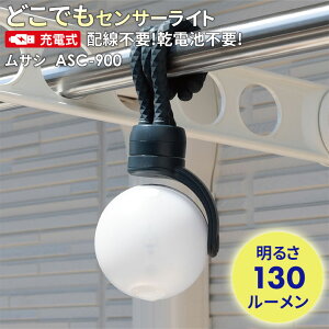 y43z lZT[Cg O hƃCg TV RITEX [dǂłZT[CgiASC-900j [d LEDCg  K[W Ɩ hƃObY AEghA ^ Lv