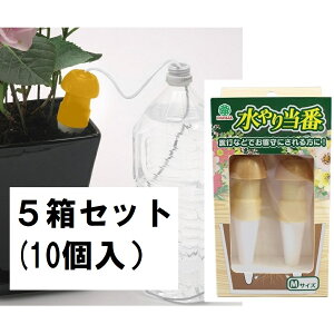 iMTCY5Zbg̔j蓖MTCY@10i2x5Zbgj `j[Ai   v^[ Ȉ՟󐅕⏕  sɁ`