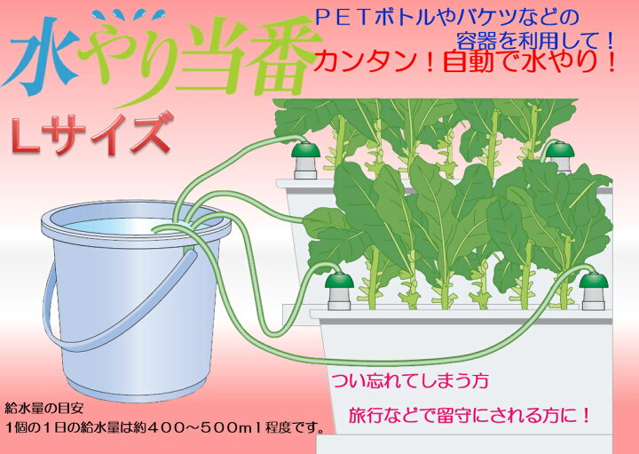 楽天市場 水やり当番 ｌサイズ１個入り リニューアル品 自動給水栓 鉢 プランター 観葉植物の土に差す自動簡易灌水補助 留守 旅行時に ガーデニングどっとコム