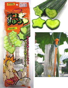 イ̌^P[X@fRイ@ƃn[g2{Zbg@`^ n[g^ ӉZ n`