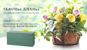 生花 オアシスの人気商品 通販 価格比較 価格 Com
