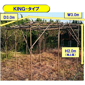 ZLXC@t[cp[S ^KingTCY.0x3.0x2.4mx LZ̏ꍇ +5,000~ǉ`I uhEI  KN oI ʎI