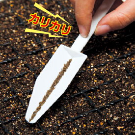 ハンディ種まき器　カリカリ君1組（2本入）～タキイ種苗 カリカリくん たねまきツール 播種※送料無料メール便発送 同梱 日時指定 代引き不可