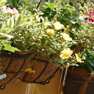 �n���M���O�o�X�P�b�g�Ǌ|�� �R�R�i�b�c�n���M���OWBR73-W25�i���V�}�b�g���t�b�N�t�j�`WB73-25A WBR73-25A ���j���[�A��