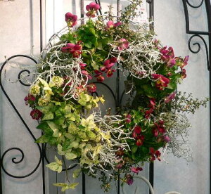 bVv^[FMP01-30GO[ztEh ` [Xv^[ O h[ibc 񂹐A