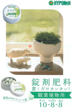 楽天市場 ハイポネックス錠剤肥料 観葉植物用約70ｇ入り ガーデニングどっとコム