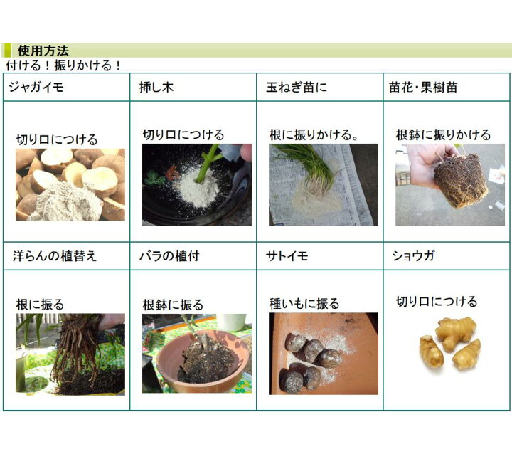 楽天市場 お徳用 種ジャガの切り口に 切り口 傷の保護材 300g 100g 3袋 ガーデニングどっとコム