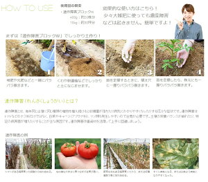 楽天市場 石灰類 土壌改良材 その他堆肥類 土壌改良材 ガーデニングどっとコム