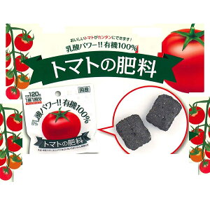 o[vc@g}g̔엿i21c×12܁j^[pbN ͕ʓr+3,000~ǉ