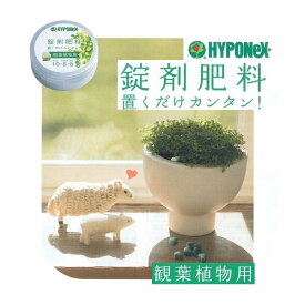 楽天市場 ハイポネックス 錠剤肥料 観葉植物用の通販
