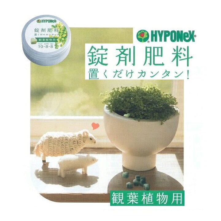 楽天市場 ハイポネックス錠剤肥料 観葉植物用約70ｇ入り ガーデニングどっとコム