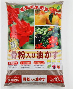  10Kg@`JOYAOX   L@엿   o ʎ