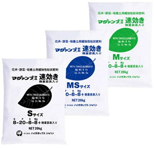 nC|lbNX@Ɩp }O@v2  20kg@` M MS S TCYe x LZ̏ꍇ ws }OAvK }OAvII