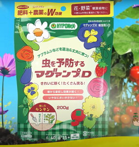 \h}O@vD@200g`nC|lbNX Eܓ }O@vK엿 }OAvD Wmet엿