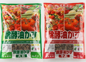 JOYAOX Ō`y@5kg ` y y 嗱or