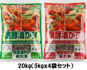 iP[X̔jJOYAOX Ō`y 20kgi5kgx4܁j` y y 嗱or