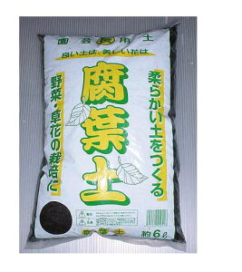 i܃TCYjty@6L `Y X[p[lIty