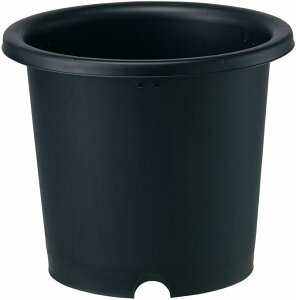 菊鉢 8号(2ヶ組)