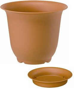 �m�A�|�b�g�����M�m�A 7��(2���g) ���A��